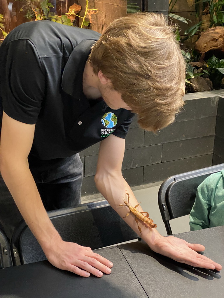 Zookeeper with an Australian Walking Stick at the lower floor of the Reptielenhuis De Aarde zoo