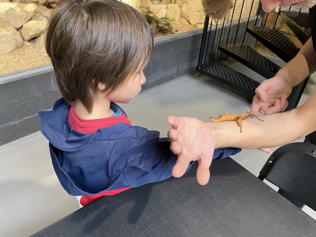 Max and a zookeeper with an Australian Walking Stick at the lower floor of the Reptielenhuis De Aarde zoo
