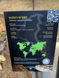 Explanation on the Asian Water Monitor at the lower floor of the Reptielenhuis De Aarde zoo