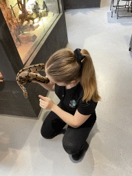 Zookeeper with a Ball Python at the lower floor of the Reptielenhuis De Aarde zoo