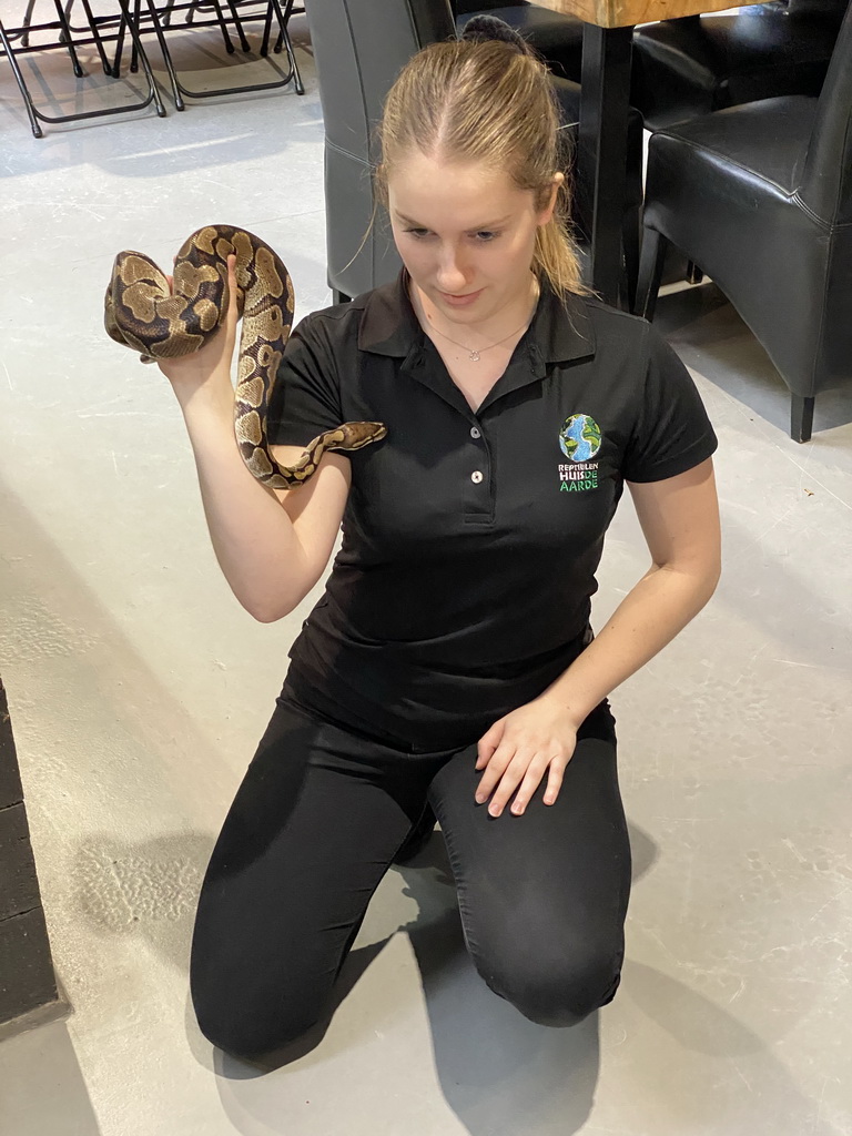 Zookeeper with a Ball Python at the lower floor of the Reptielenhuis De Aarde zoo