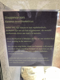 Information on the Savannah Monitor at the lower floor of the Reptielenhuis De Aarde zoo