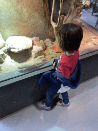 Max with Savannah Monitors at the lower floor of the Reptielenhuis De Aarde zoo