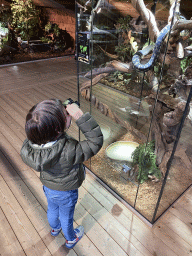 Max with a Carpet Python at the upper floor of the Reptielenhuis De Aarde zoo