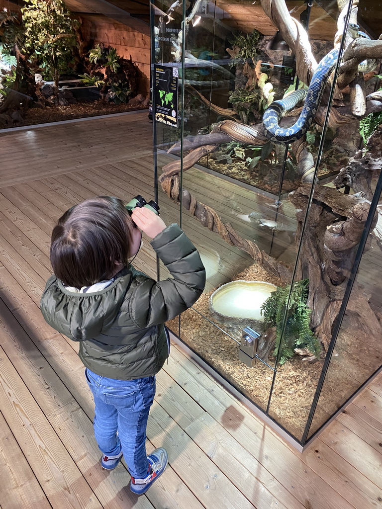 Max with a Carpet Python at the upper floor of the Reptielenhuis De Aarde zoo