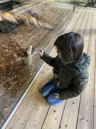 Max with a Reticulated Python at the upper floor of the Reptielenhuis De Aarde zoo