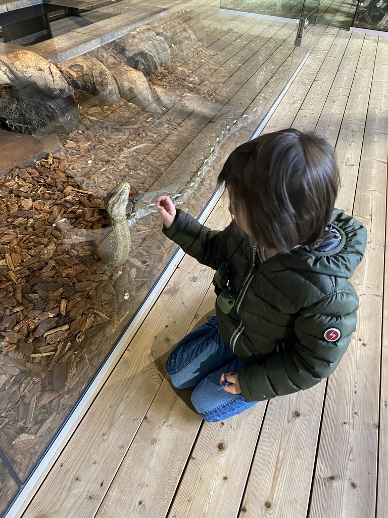 Max with a Reticulated Python at the upper floor of the Reptielenhuis De Aarde zoo