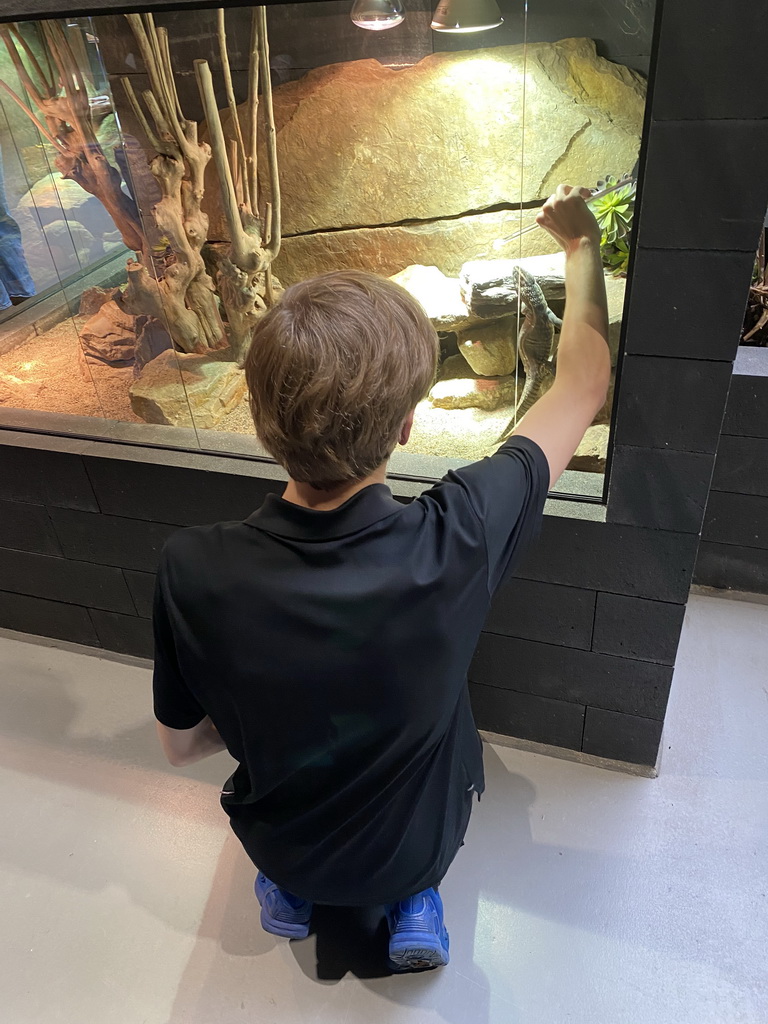 Zookeeper feeding a Savannah Monitor at the lower floor of the Reptielenhuis De Aarde zoo