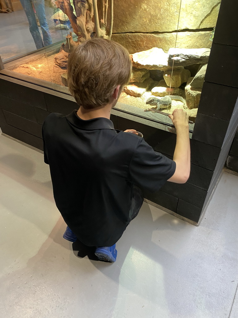 Zookeeper feeding a Savannah Monitor at the lower floor of the Reptielenhuis De Aarde zoo