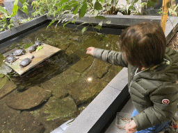 Max feeding the Red-eared Sliders at the lower floor of the Reptielenhuis De Aarde zoo