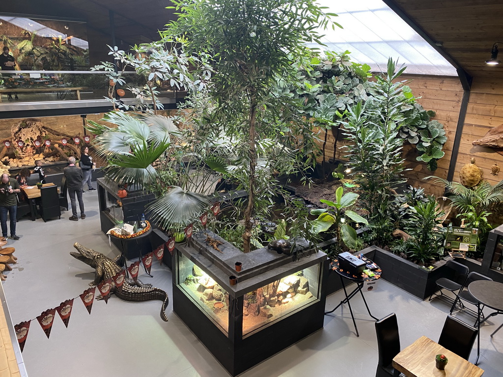 Interior of the Reptielenhuis De Aarde zoo, viewed from the upper floor, during the Halloween 2020 event