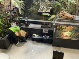 Candy fishing and feel-the-animal games at the lower floor of the Reptielenhuis De Aarde zoo, viewed from the upper floor, during the Halloween 2020 event