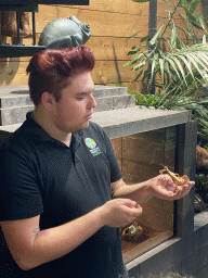 Zookeeper with an Australian Walking Stick at the lower floor of the Reptielenhuis De Aarde zoo