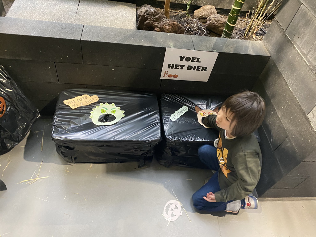 Max playing the feel-the-animal game at the lower floor of the Reptielenhuis De Aarde zoo, during the Halloween 2020 event