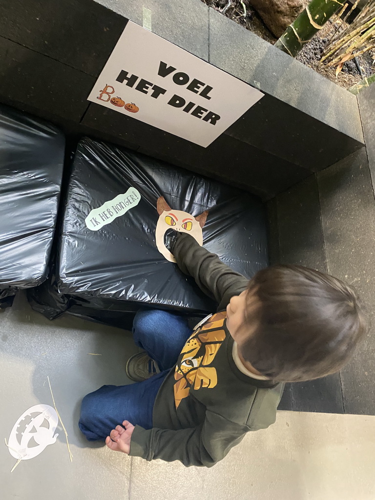 Max playing the feel-the-animal game at the lower floor of the Reptielenhuis De Aarde zoo, during the Halloween 2020 event