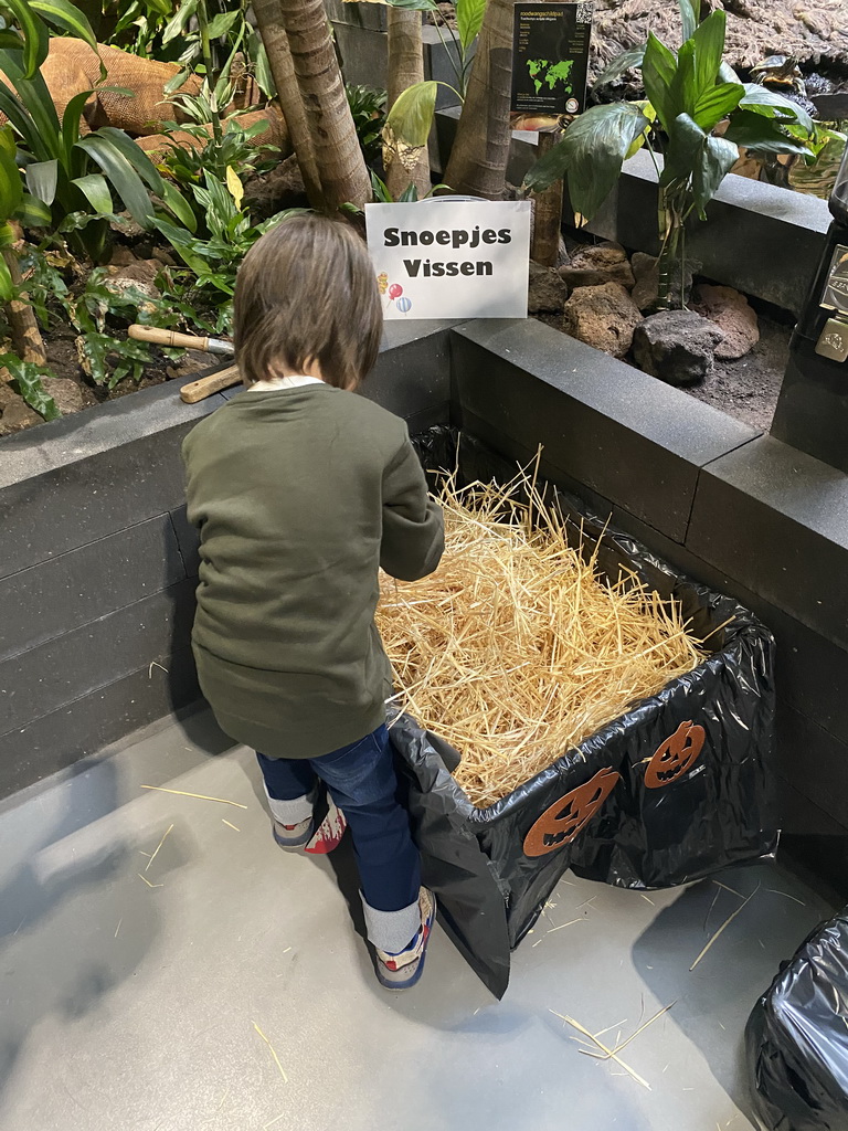 Max playing the candy fishing game at the lower floor of the Reptielenhuis De Aarde zoo, during the Halloween 2020 event