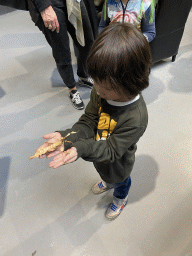 Max with an Australian Walking Stick at the lower floor of the Reptielenhuis De Aarde zoo