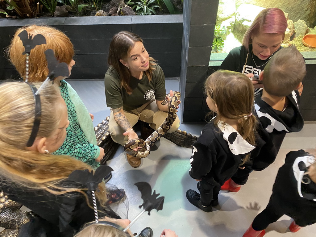 Person of Snake Patrol Surinam with a Ball Python at the lower floor of the Reptielenhuis De Aarde zoo, during the Halloween 2020 event