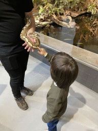 Max with a Ball Python at the lower floor of the Reptielenhuis De Aarde zoo, during the Halloween 2020 event