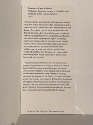 Explanation on the skeletons of plague victims at the `Ziek & Gezond - Collectielab` exhibition in Room 3 at the Ground Floor of the Stedelijk Museum Breda