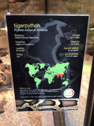 Explanation on the Indian Python at the lower floor of the Reptielenhuis De Aarde zoo