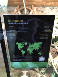 Explanation on the Fiji Banded Iguana at the upper floor of the Reptielenhuis De Aarde zoo