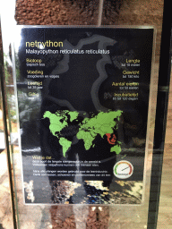 Explanation on the Reticulated Python at the upper floor of the Reptielenhuis De Aarde zoo
