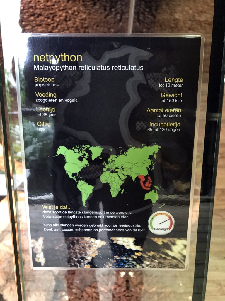 Explanation on the Reticulated Python at the upper floor of the Reptielenhuis De Aarde zoo