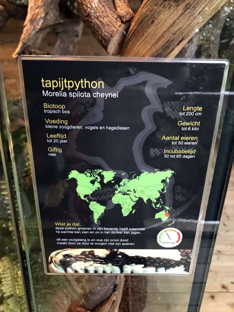 Explanation on the Carpet Python at the upper floor of the Reptielenhuis De Aarde zoo