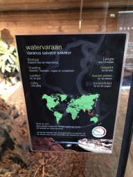 Explanation on the Asian Water Monitor at the upper floor of the Reptielenhuis De Aarde zoo