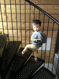 Max on the staircase of the Reptielenhuis De Aarde zoo
