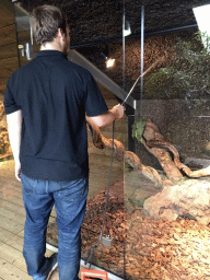 Zookeeper spraying water at the upper floor of the Reptielenhuis De Aarde zoo