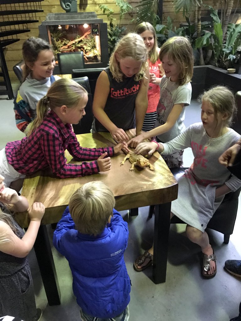 Visitors with a Bearded Dragon at the lower floor of the Reptielenhuis De Aarde zoo