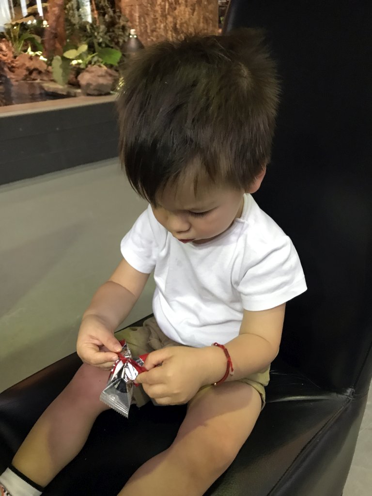 Max with a cookie at the lower floor of the Reptielenhuis De Aarde zoo