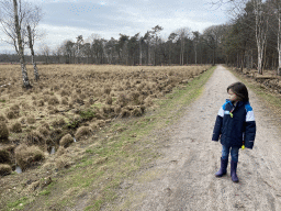 Max at the northeast side of the Galderse Heide heather