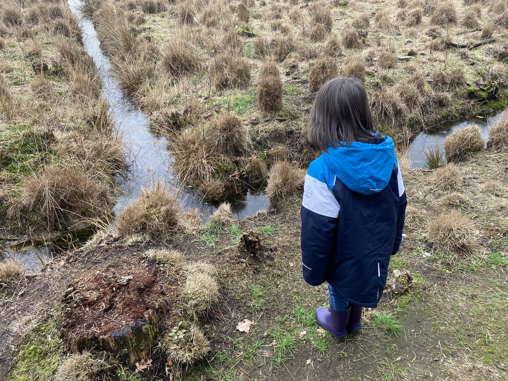 Max at the northeast side of the Galderse Heide heather