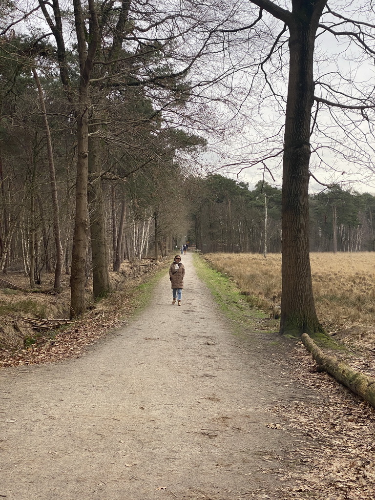 Miaomiao at the Mastbos forest and the northeast side of the Galderse Heide heather