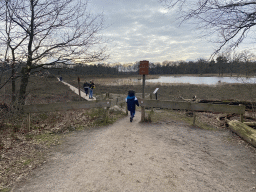 Max at the north entrance to the Vlonderpad walkway at the Galderse Heide heather