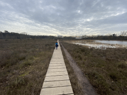 Max at the north side of the Vlonderpad walkway at the Galderse Heide heather