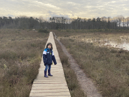 Max at the north side of the Vlonderpad walkway at the Galderse Heide heather