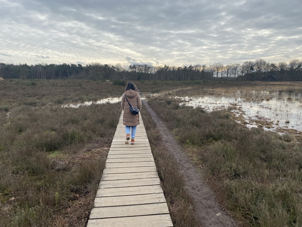 Miaomiao at the north side of the Vlonderpad walkway at the Galderse Heide heather
