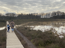 Miaomiao and Max at the north side of the Vlonderpad walkway at the Galderse Heide heather