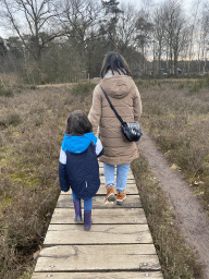 Miaomiao and Max at the south side of the Vlonderpad walkway at the Galderse Heide heather