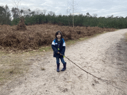 Max on the road at the northwest side of the Galderse Heide heather