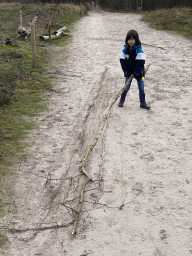 Max on the road at the north side of the Galderse Heide heather