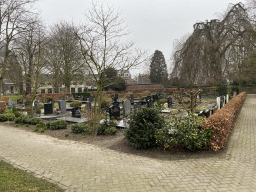 North side of the cemetery of the Sint-Martinuskerk church