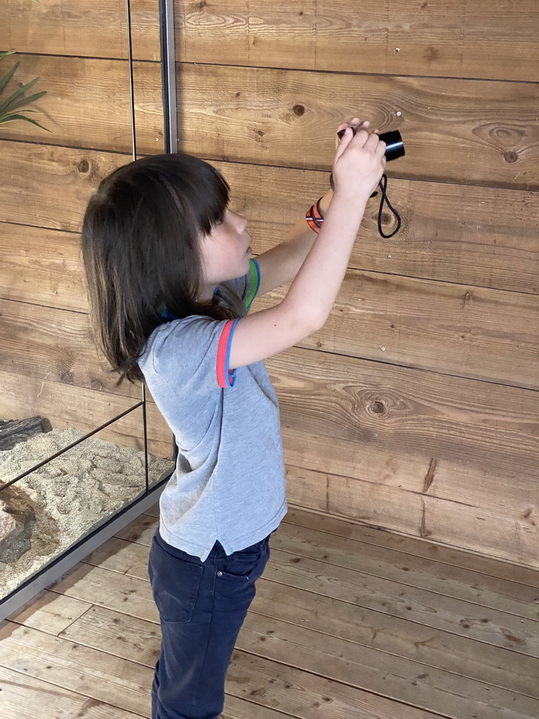 Max making a photograph of a Plumed Basilisk at the upper floor of the Reptielenhuis De Aarde zoo