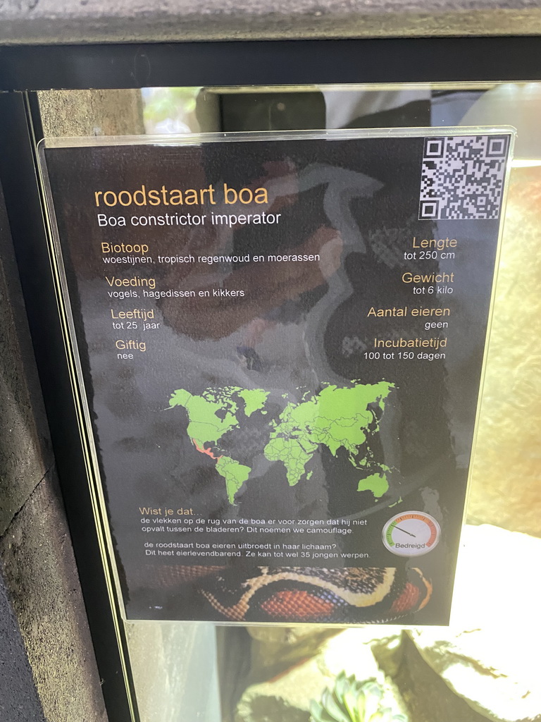 Explanation on the Boa Imperator at the lower floor of the Reptielenhuis De Aarde zoo