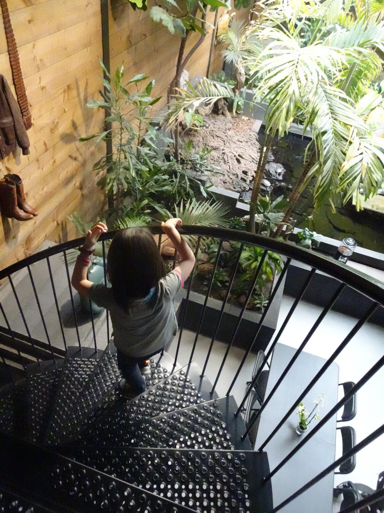 Max on the staircase of the Reptielenhuis De Aarde zoo