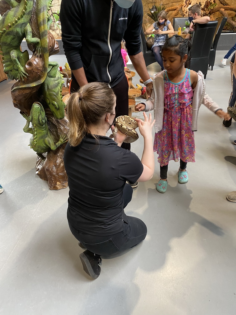 Zookeeper with a Reticulated Python at the lower floor of the Reptielenhuis De Aarde zoo